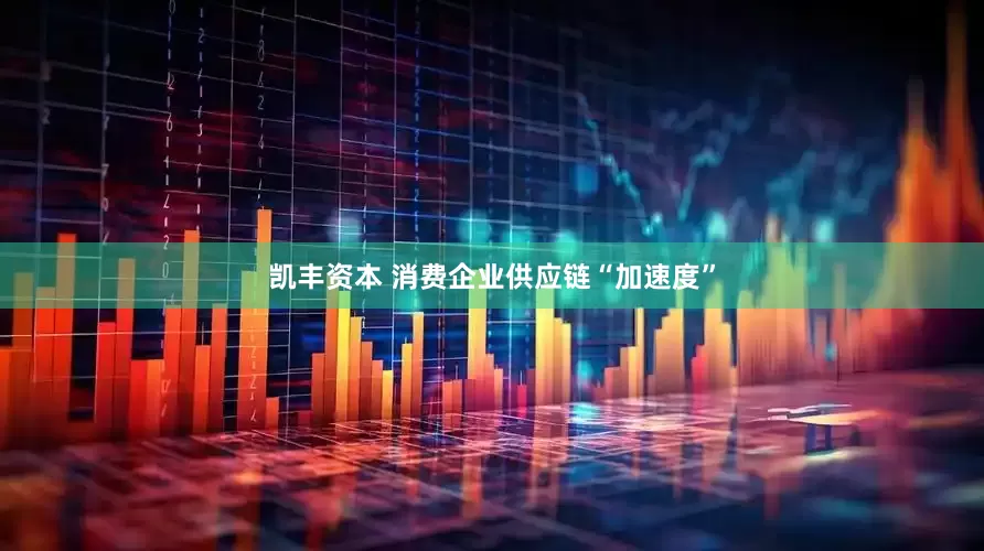 凯丰资本 消费企业供应链“加速度”