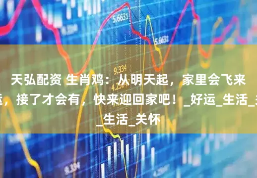 天弘配资 生肖鸡：从明天起，家里会飞来横运，接了才会有，快来迎回家吧！_好运_生活_关怀