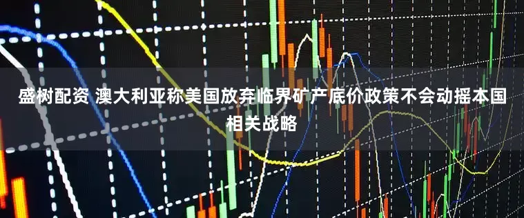 盛树配资 澳大利亚称美国放弃临界矿产底价政策不会动摇本国相关战略